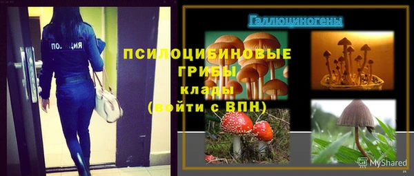 мяу мяу мука Верхнеуральск