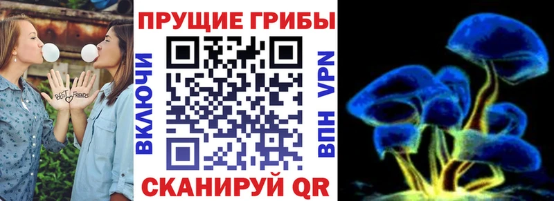 как найти закладки  Уссурийск  Галлюциногенные грибы MAGIC MUSHROOMS 
